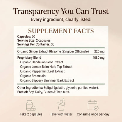 Motilix® — Daily Relief for Bloating & Slow Digestion