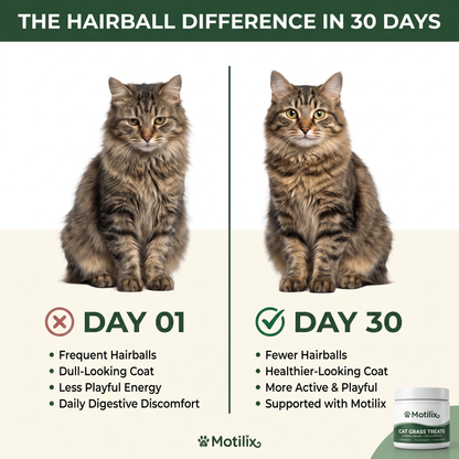 Motilix® Cat Grass Treats — Natural Hairball Relief & Fresh Breath