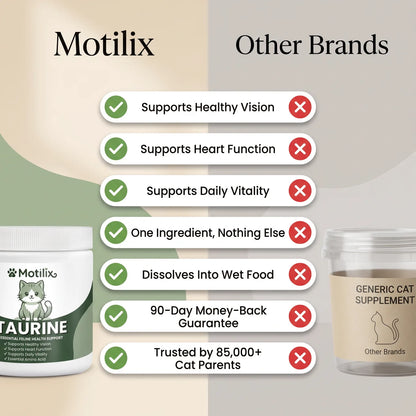 Stop the Daily Taurine Drain While Your Cat Still Looks Fine — Motilix™ Taurine Supplement for Cats