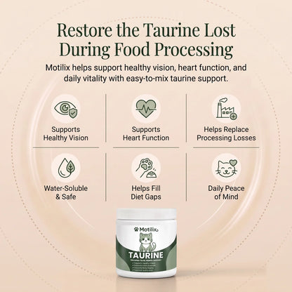 Stop the Daily Taurine Drain While Your Cat Still Looks Fine — Motilix™ Taurine Supplement for Cats