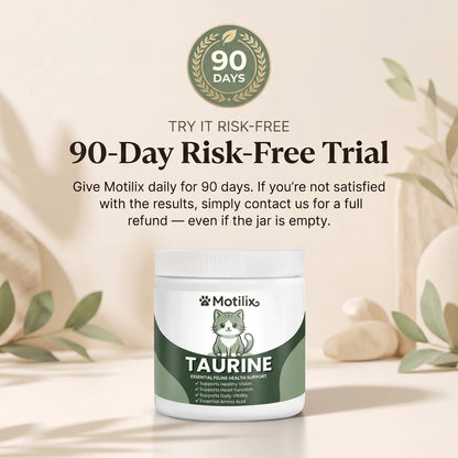 Stop the Daily Taurine Drain While Your Cat Still Looks Fine — Motilix™ Taurine Supplement for Cats